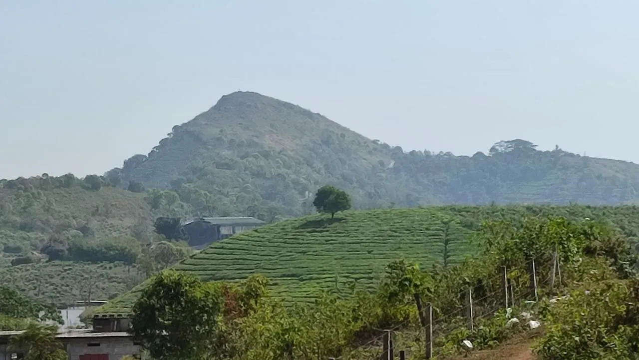 Vaga Majestic Hotel Vagamon 0*,